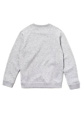 Sudadera Lacoste Logo 3D Gris Niño
