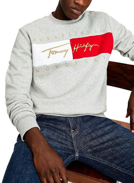 Tommy Signature Gris Hombre