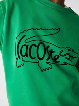 Sudadera Lacoste Oversize Verde Para Mujer
