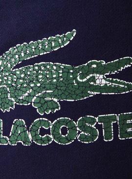 Bermuda Lacoste Logo Estampado Marino Para Hombre