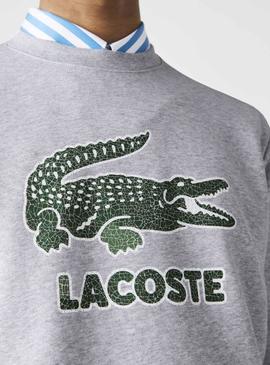 Sudadera Lacoste Logo Craquel Gris para Hombre