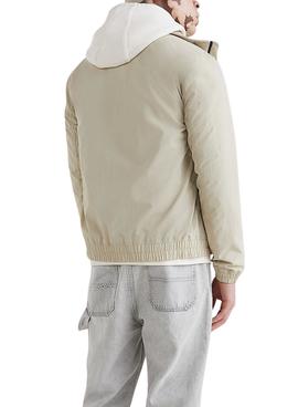 Cazadora Tommy Jeans Bomber Seasonal Beige Hombre