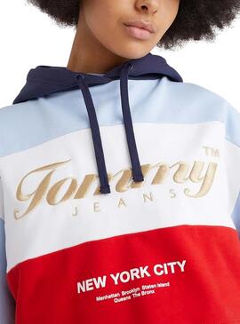 Sudadera Tommy Jeans Archive Cropped Multicolor