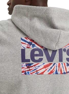 Sudadera Levis Graphic Zip Tiedye Gris Para Hombre