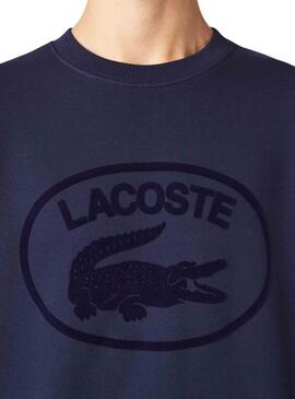 Sudadera Lacoste Básica Marino Para Hombre