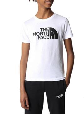 Camiseta The North Face Logo Basic Niño y Niña