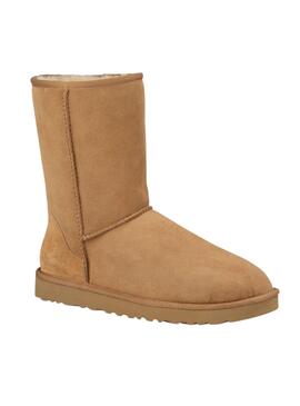 Botas UGG Classic Short Hombre Camel