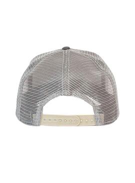 Gorra Goorin Bros The Koala Baseball Gris