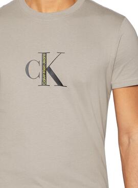 Camiseta Calvin Klein Institutional para Hombre