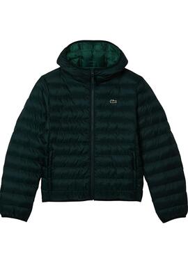 Chaqueta Lacoste Blouson Acolchada Verde Hombre