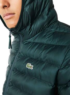 Chaqueta Lacoste Blouson Acolchada Verde Hombre