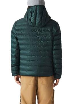 Chaqueta Lacoste Blouson Acolchada Verde Hombre