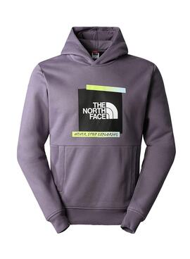 Sudadera The North Face Graphic Gris para Hombre