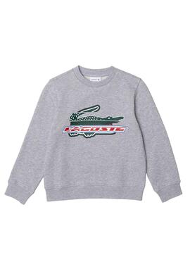 Sudadera Lacoste Graphic Gris para Niño