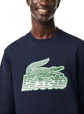 Sudadera Lacoste Degradé Marino para Hombre