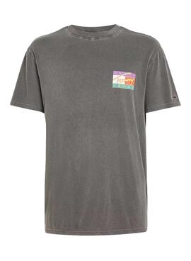 Camiseta Tommy Jeans Signature Gris para Hombre