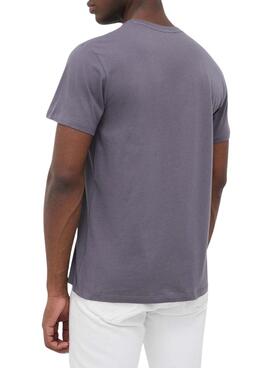 Camiseta Pepe Jeans Eggo Gris para Hombre