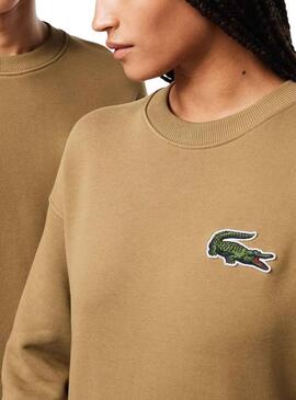 Sudadera Lacoste Classic Fit Marrón Hombre Mujer