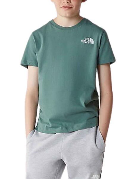 Camiseta The North Face Teen Dome Verde Niño