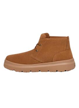 Botines UGG Burleigh Chukka Chestnut Para Hombre