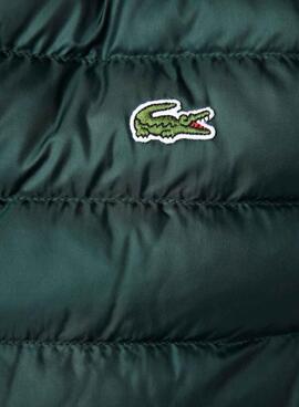 Chaleco Lacoste Acolchado Verde Para Hombre 