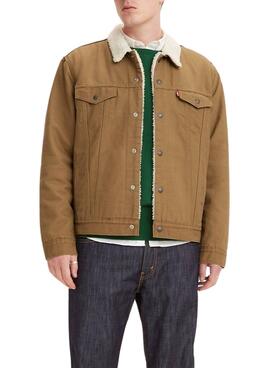 Chaqueta Vaquera Levis Trucker Sherpa Beige Hombre