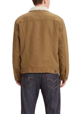 Chaqueta Vaquera Levis Trucker Sherpa Beige Hombre