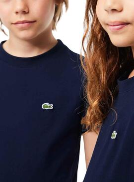 Camiseta Lacoste De Punto Marino Para Niño Niña