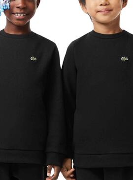 Sudadera Lacoste Infantil Franela Para Niño Y Niña