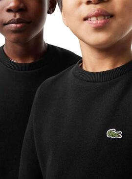 Sudadera Lacoste Infantil Franela Para Niño Y Niña