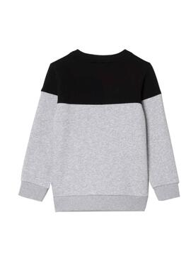 Sudadera Lacoste Color Block Gris Para Niña Niño