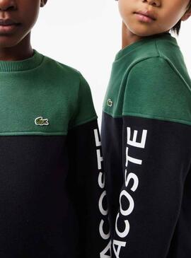 Sudadera Lacoste Color Block Verde Para Niño Niña