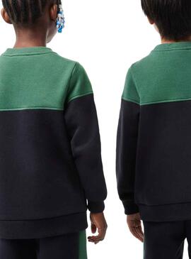 Sudadera Lacoste Color Block Verde Para Niño Niña