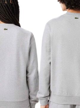 Sudadera Lacoste Insignia Gris para Hombre