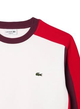 Sudadera Lacoste Jogger Color Block Para Hombre