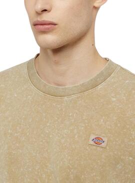 Camiseta Dickies Newington Tee Beige Para Hombre