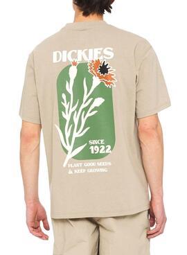 Camiseta Dickies Herndon Beige Para Hombre