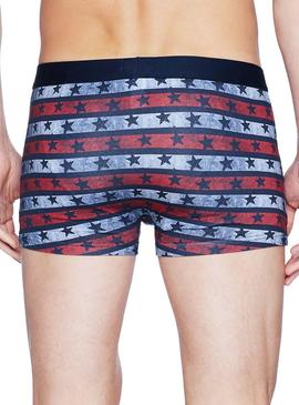Calzoncillos Tommy Hilfiger Stars