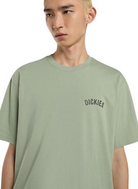 Camiseta Dickies Snake verde para hombre