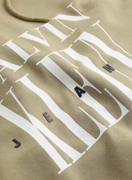 Sudadera Calvin Klein Serif logo tostado con capucha para hombre