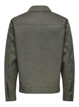 Cazadora Only and Sons Ralph verde para hombre