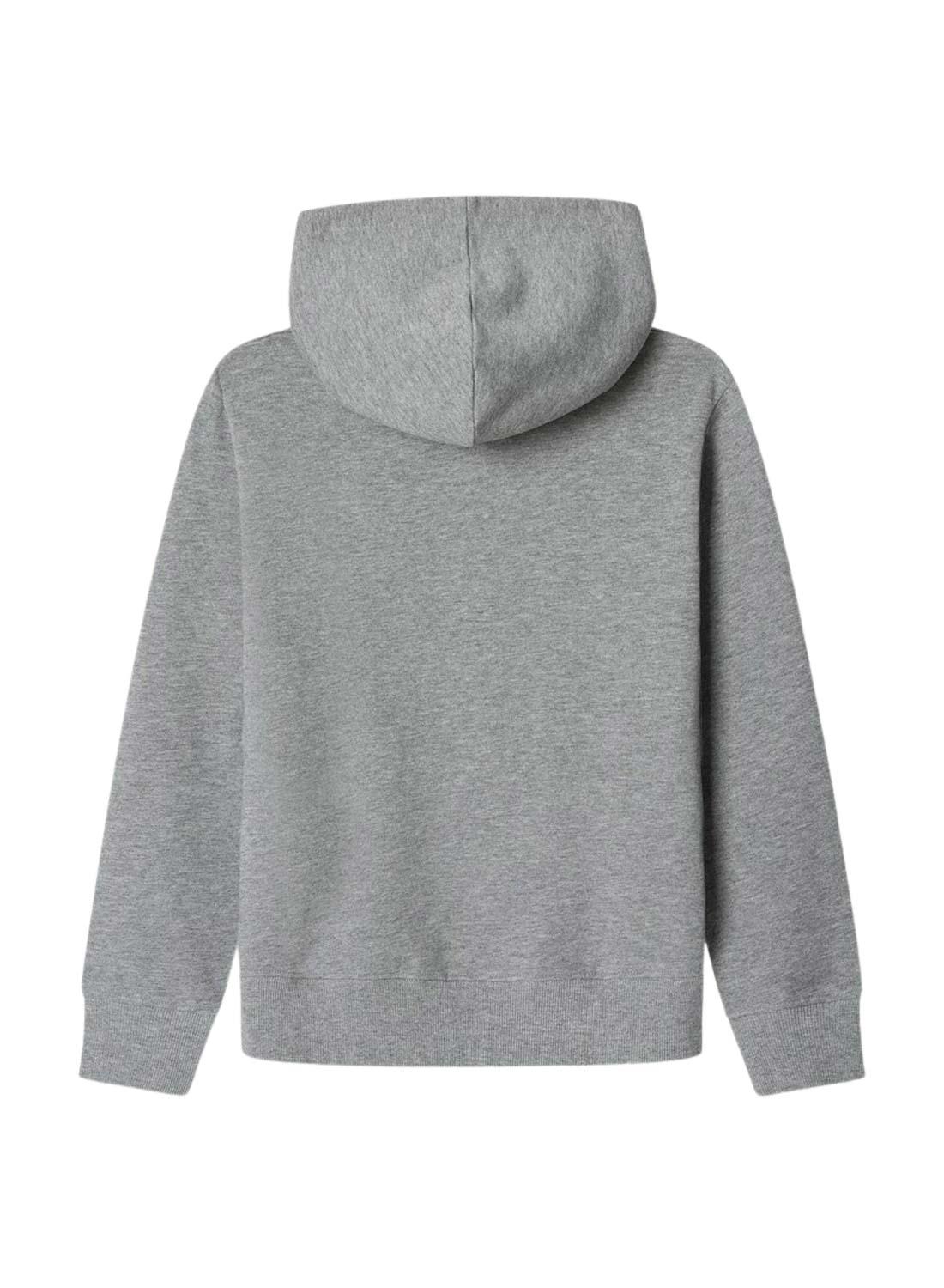 Sudadera Pepe Jeans Art Hoodie gris para niño