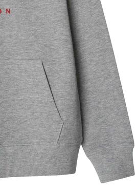Sudadera Pepe Jeans Art Hoodie gris para niño