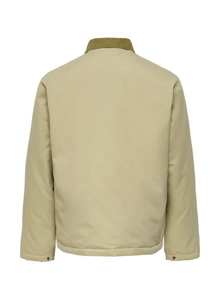 Gallery m174159 zhtnsdke