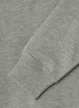 Sudadera Pepe Jeans Art con capucha gris niño