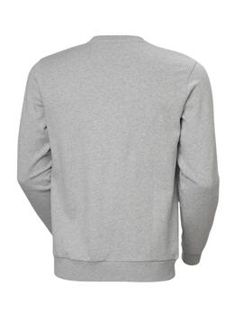 Sudadera Helly Hansen HH Logo gris para hombre