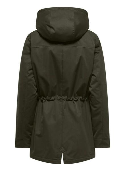 Gallery m175973 zhxfife5