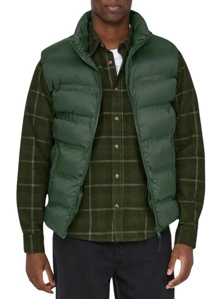 Gallery m174150 o0zuepoj