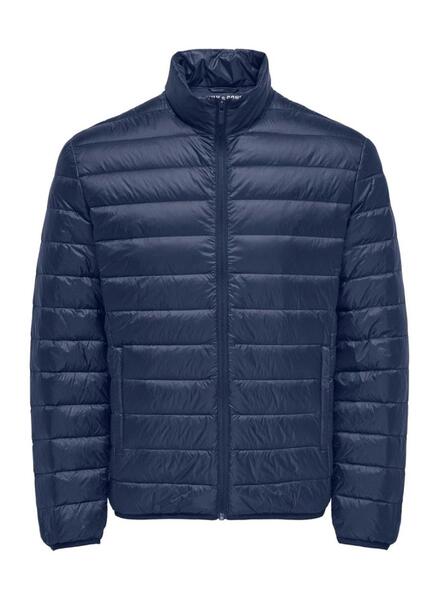 Gallery m176012 0exdtbzu