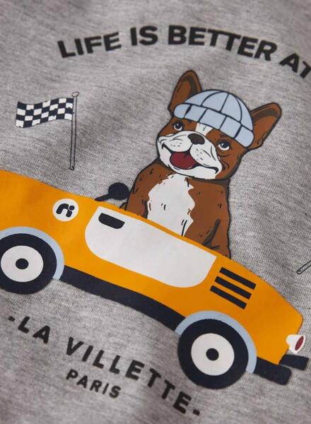 Gallery k036214 hedabvvr